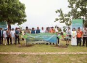 ITDC Dorong Pariwisata Ramah Lingkungan Dengan Aksi Penanaman Pohon  di Kawasan The Mandalika