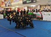 Liong dan Barongsai Tampil di FORNAS VIII NTB, Jadi Warna Budaya