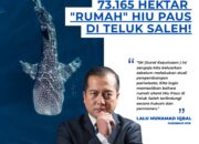 Bukan Cuma Soal Wisata, Pemprov NTB Amankan 73.165 Hektar “Rumah” Hiu Paus di Teluk Saleh!