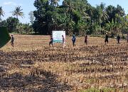 Sengketa Puluhan Tahun Lahan Di Kuripan Di Pasangi Plang Kepemilikan 