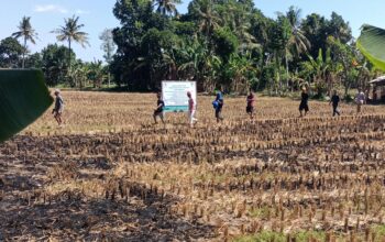 Sengketa Puluhan Tahun Lahan Di Kuripan Di Pasangi Plang Kepemilikan 
