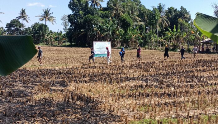 Sengketa Puluhan Tahun Lahan Di Kuripan Di Pasangi Plang Kepemilikan 